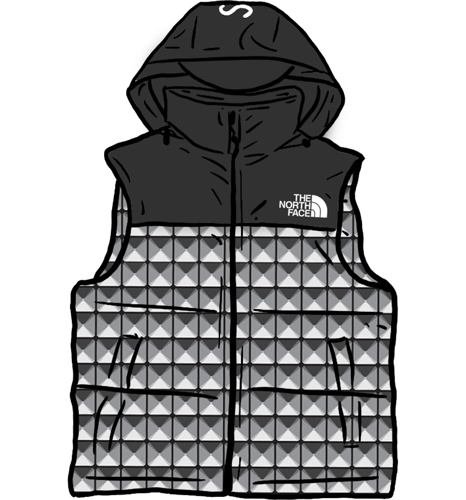 North face hotsell supreme vest