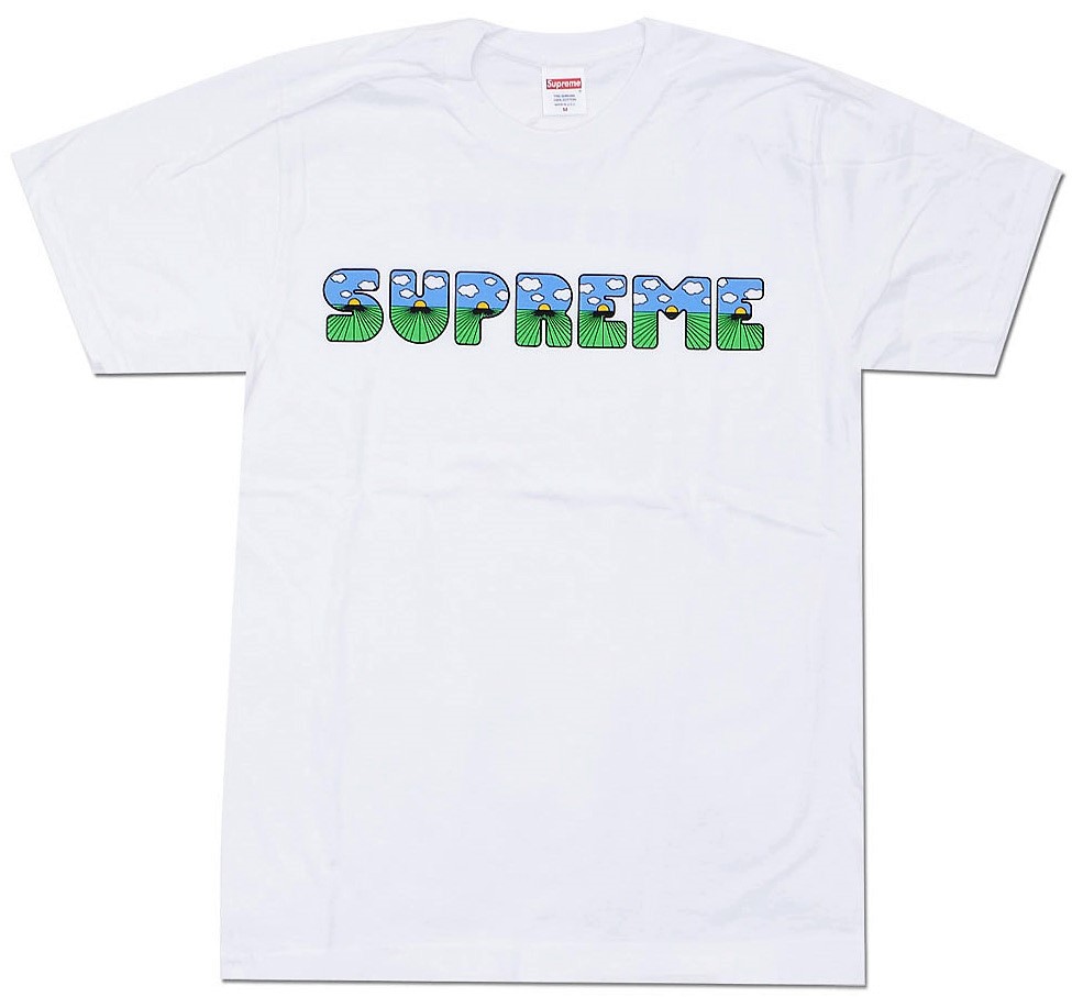 日本在庫Supreme 2016 S/S The Shit Tee Tシャツ/カットソー(半袖/袖なし)