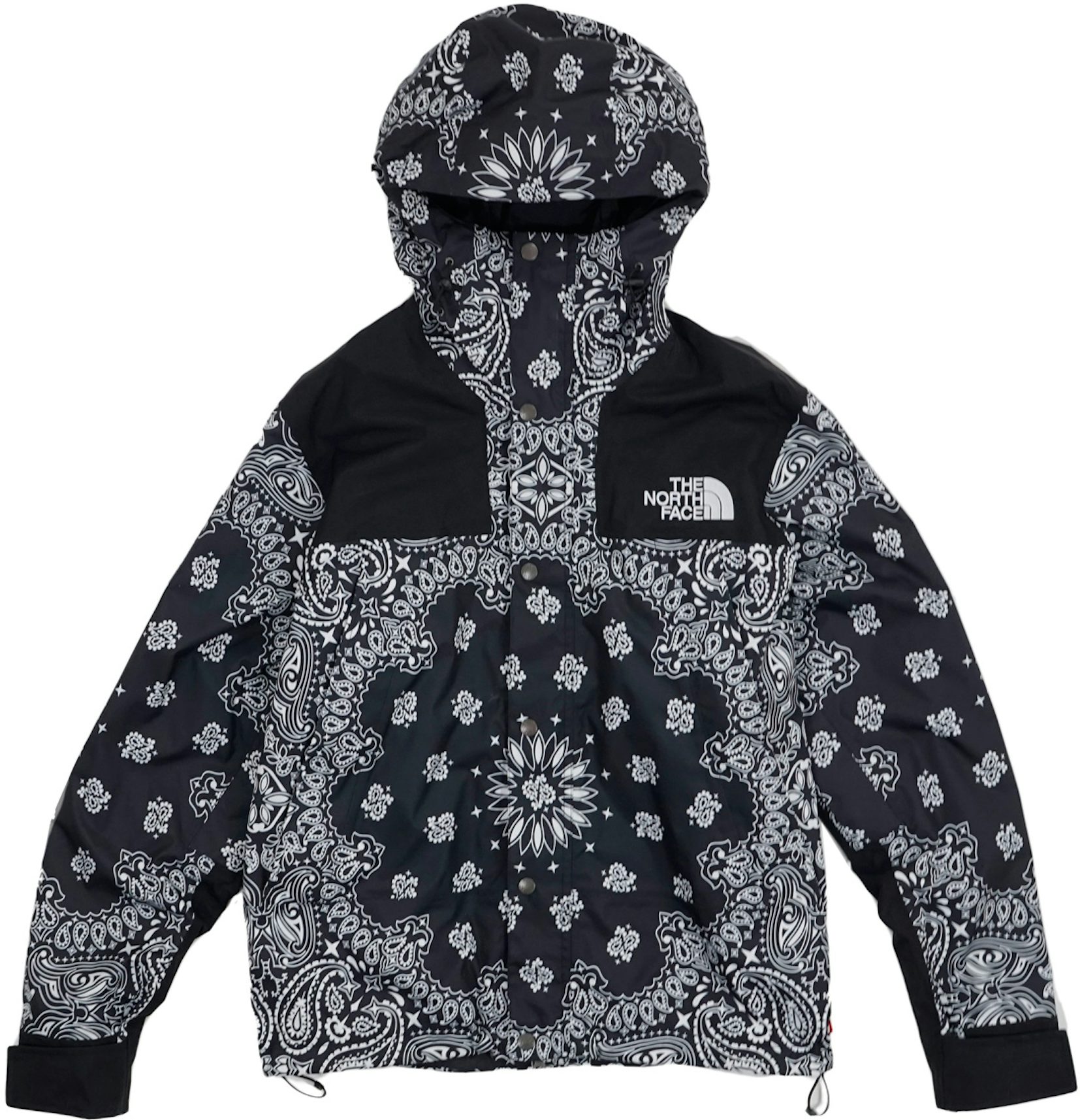 Supreme/The North Face Mountain Light Jacket - Leaves