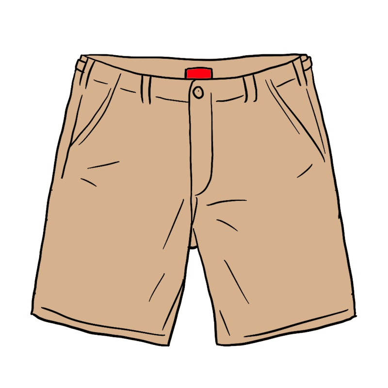 supreme khaki shorts