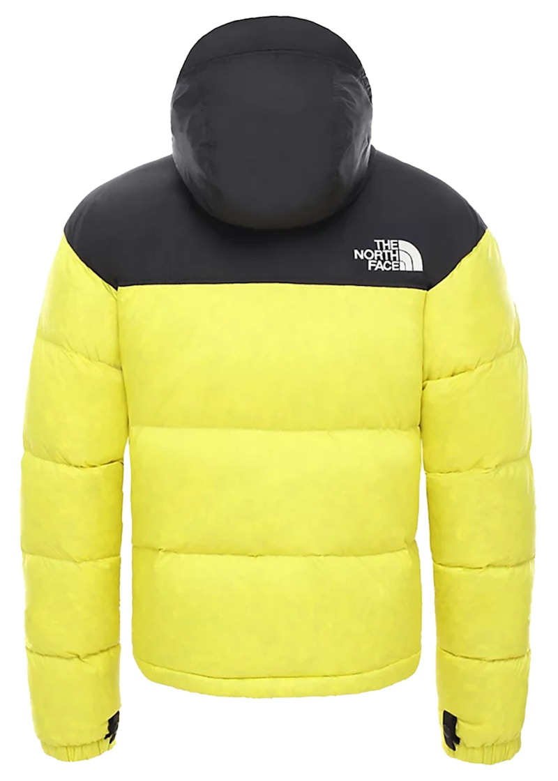 Veste the shop north face 700