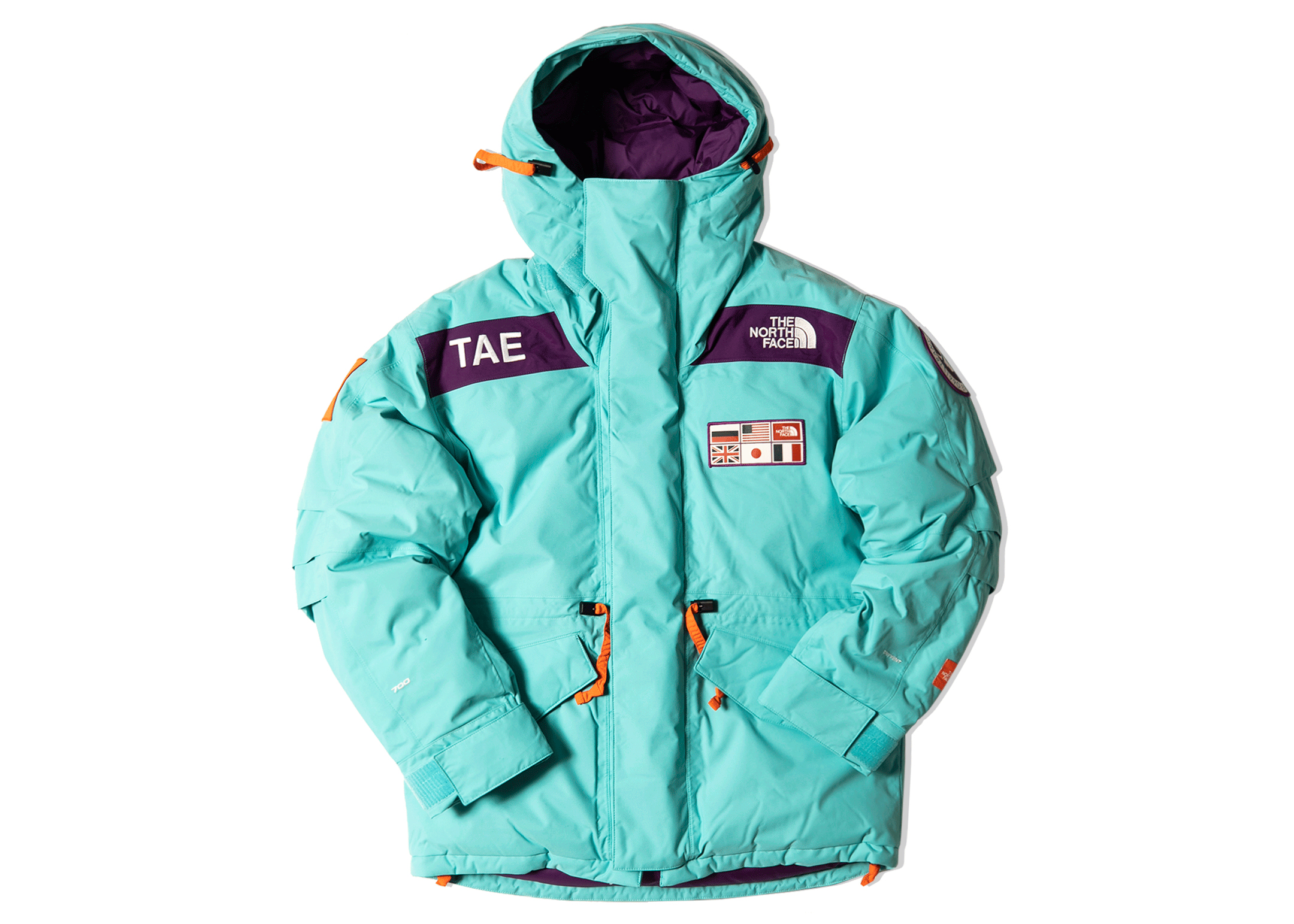 The North Face TAE Trans-Antarctica Expedition 700-Down Parka ...