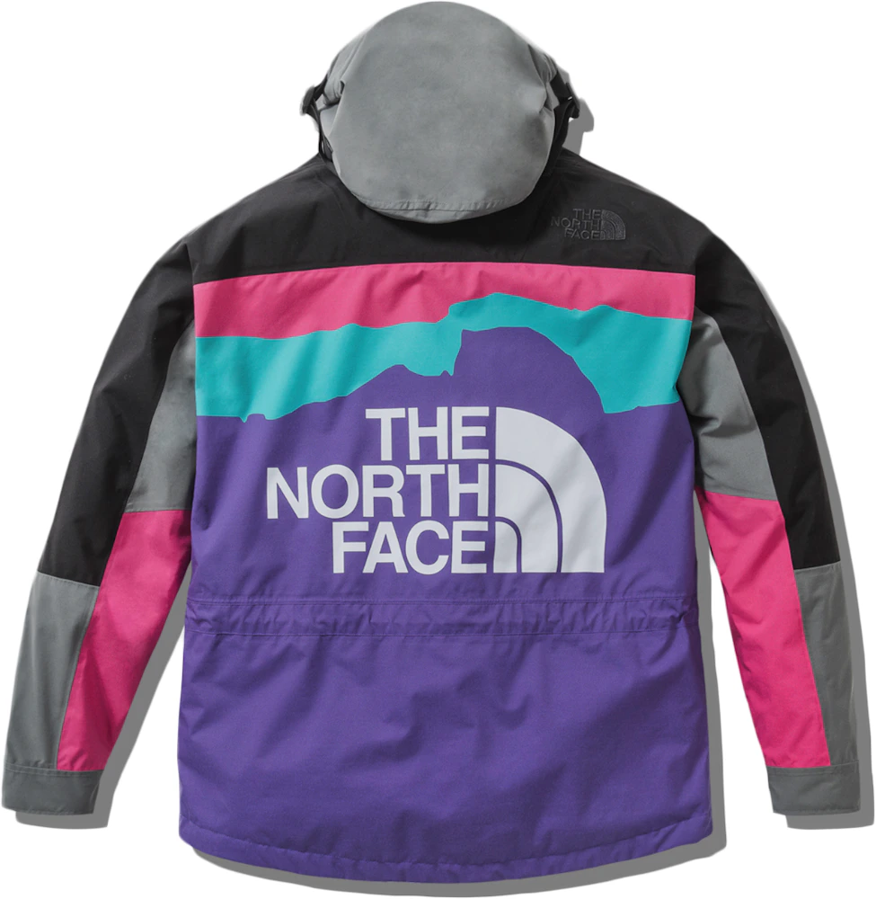 The North Face x Invincible 1994 Retro Mountain Light Jacket Multi ...