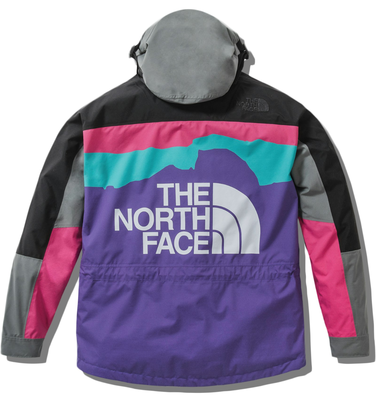 The North Face x Invincible 1994 Retro Mountain Light Jacket Multi