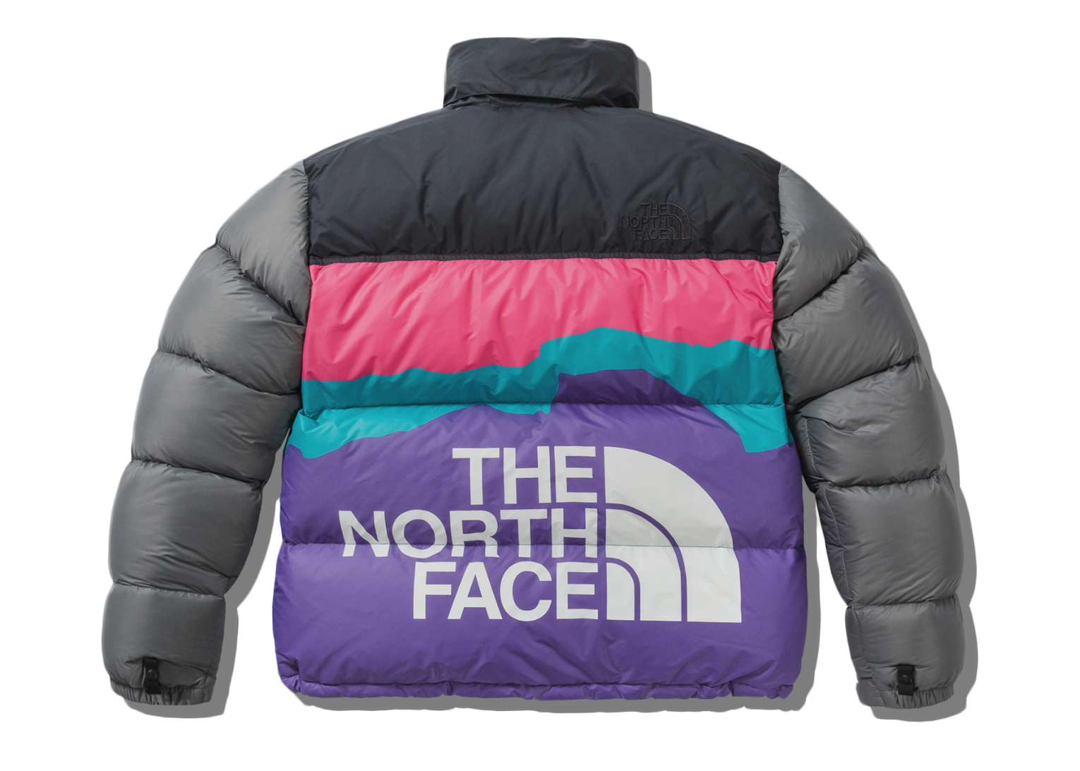 the north face retro 1996