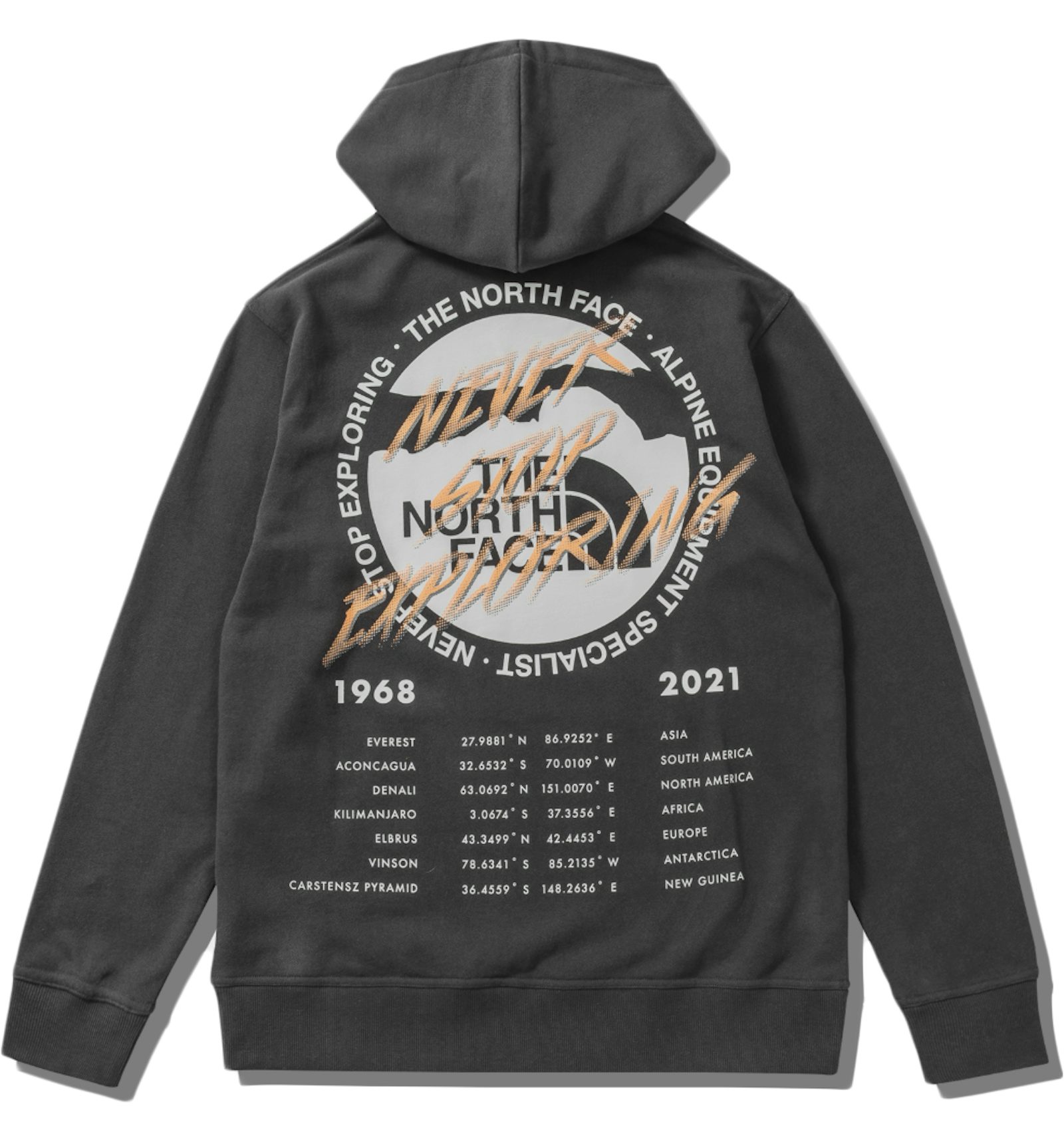 The north 2025 face graphic hoodie