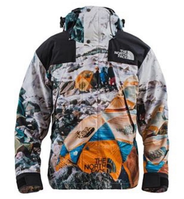 The North Face x Invincible The Expedition Series Mountain Jacket ...