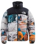 The North Face x Invincible The Expedition Series Mountain Jacket ...