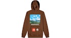 Sudadera con capucha The North Face x Online Ceramics Marrón Tierra