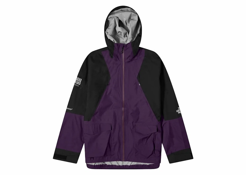 The North Face x INVINCIBLE Printed Mountain Light Jacket Multi 