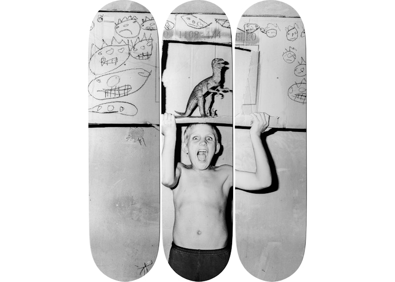 The Skateroom Roger Ballen コンプリートデッキ The Skateroom Roger Ballen コンプリートデッキ - cataloguedislab.com