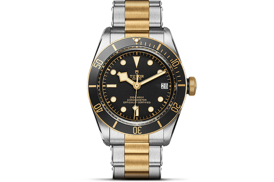 Tudor Black Bay M79733N
