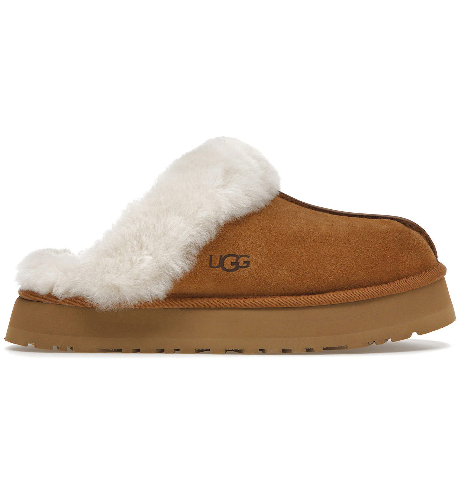 Uggs disquette chestnut Clearance