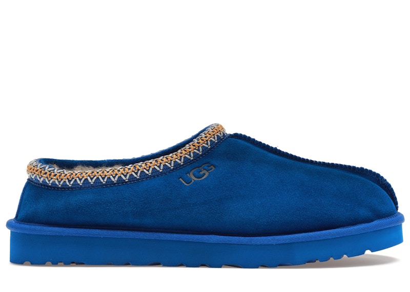 Blue ugg deals slipper