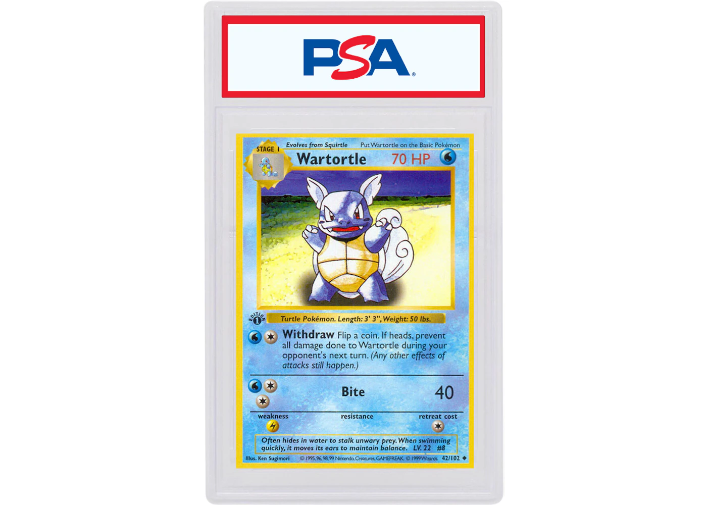 Wartortle 1999 Pokemon Tcg Base Set 1st Edition 42 102 1999 Wartortle 1999 Pokemon Tcg Base Set 1st Edition 42 102 1999