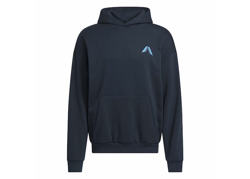 aurora ark Hoodie