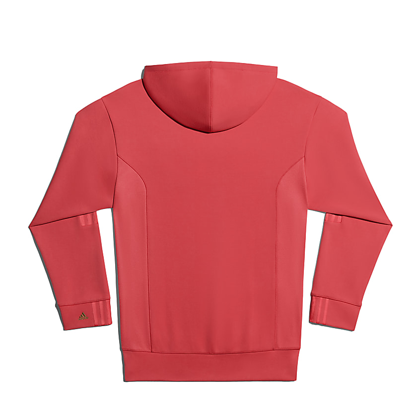 Pink ivy park online hoodie