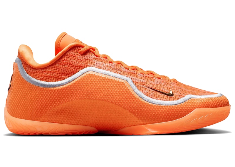 Nike LeBron 23 Shoe Bag (Translucent Outsole)