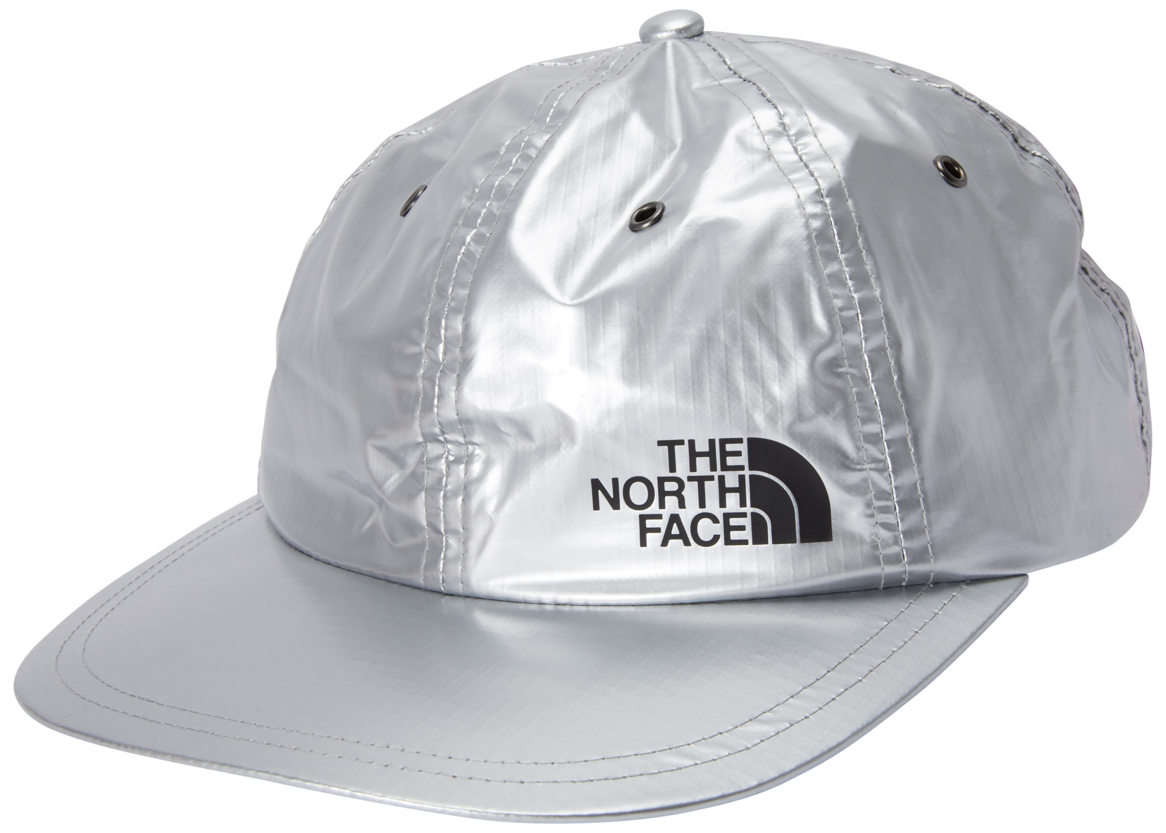 the north face silver